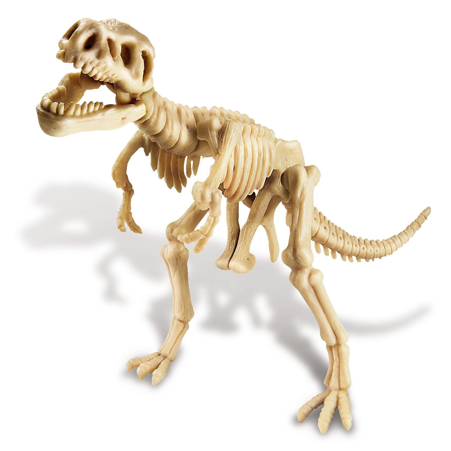 4M Craft Kit "Dig A T-Rex"