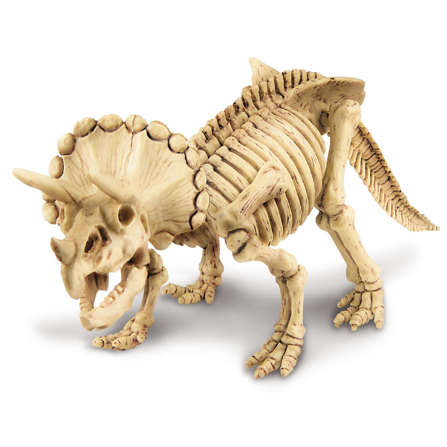 4M Craft Kit Dig A Triceratops