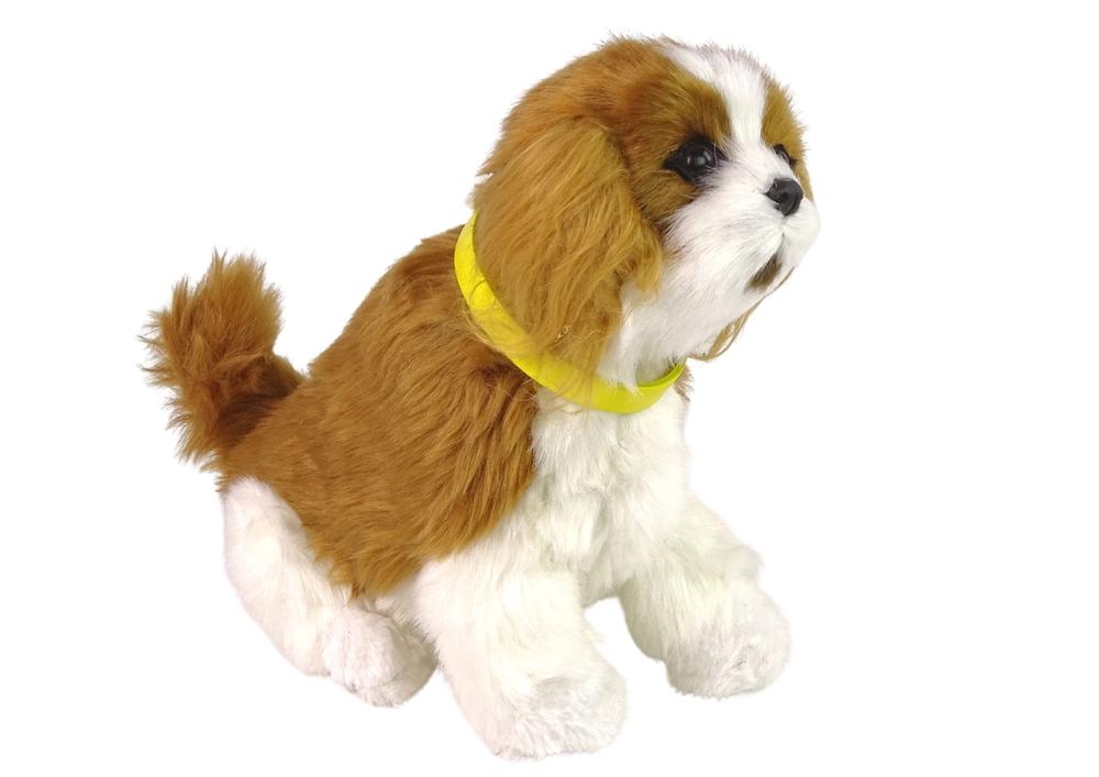 Cavalier Interactive Plush Dog: Blødt, naturtro, sjovt læringslegetøj