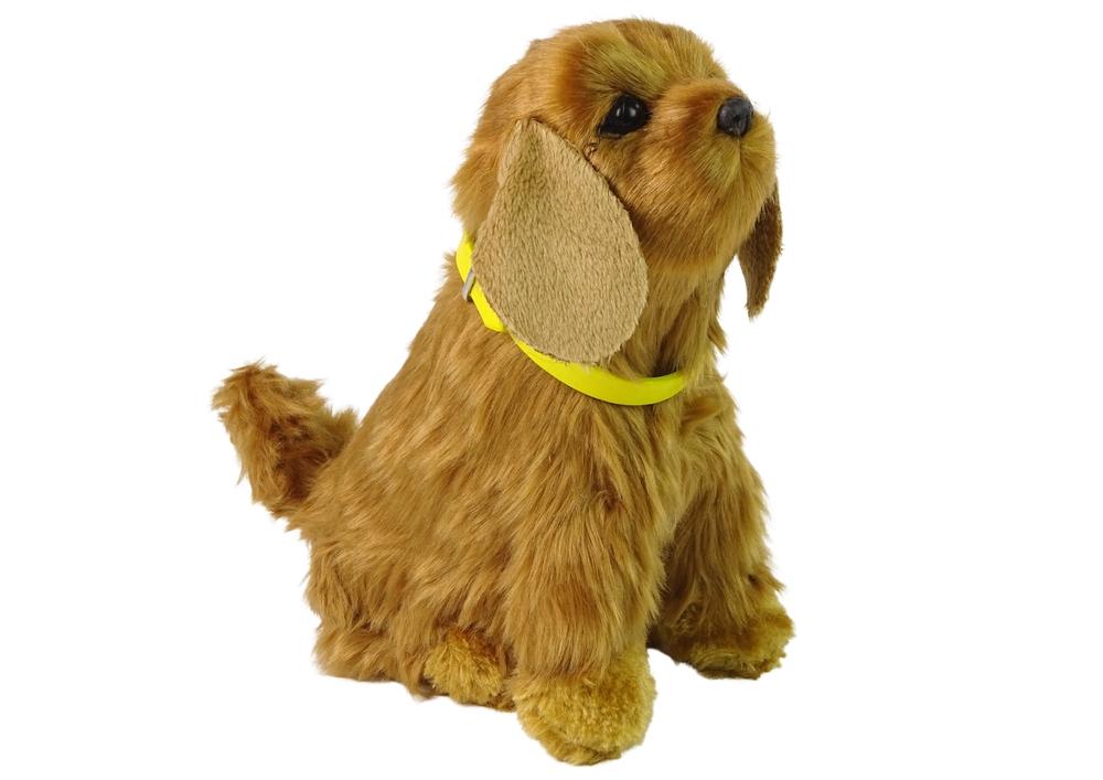 Koselig interaktiv cocker spaniel: Bark, wag &amp; Learn Fun!