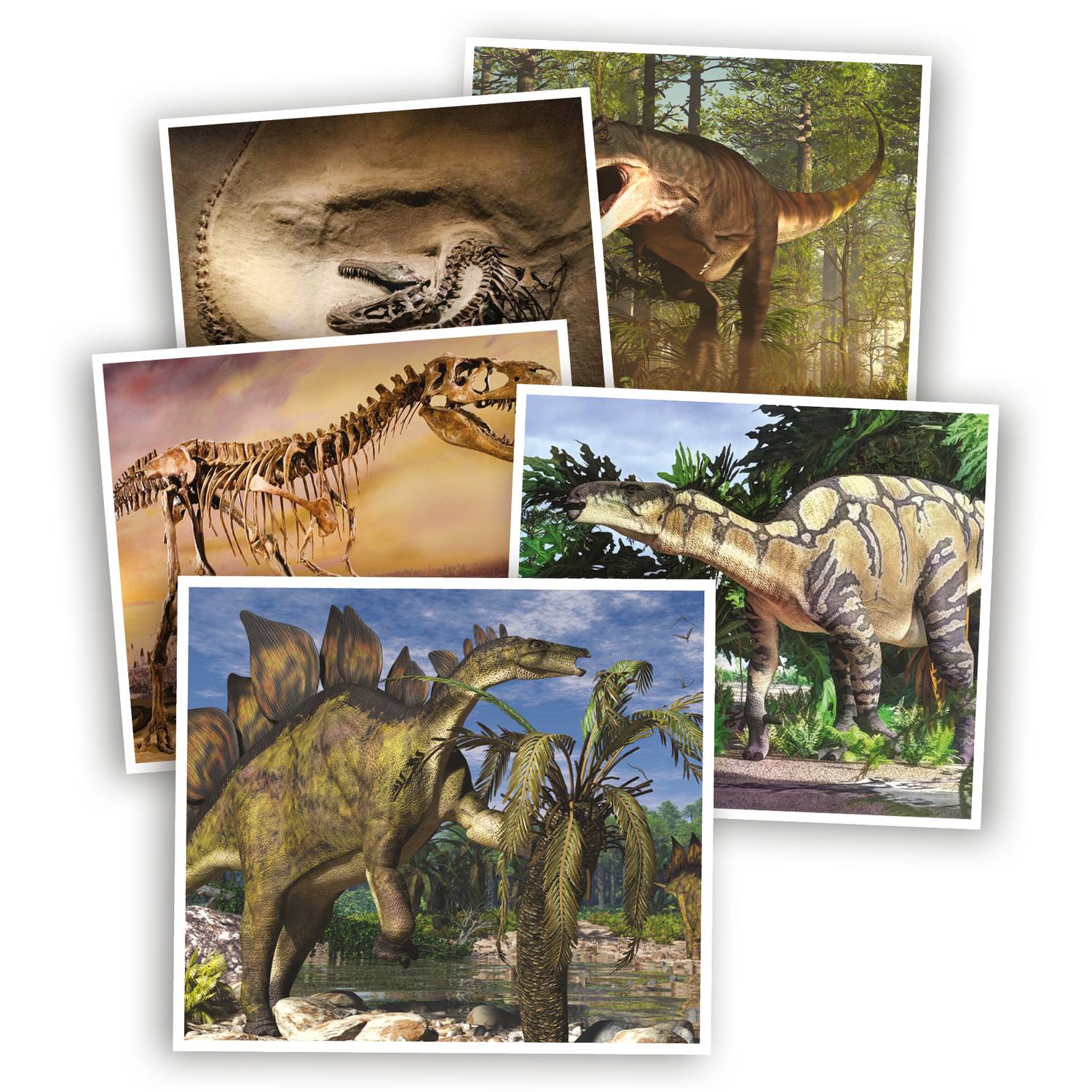 Dinosauriequiz för barn, roligt och lärorikt, åldrar 7+