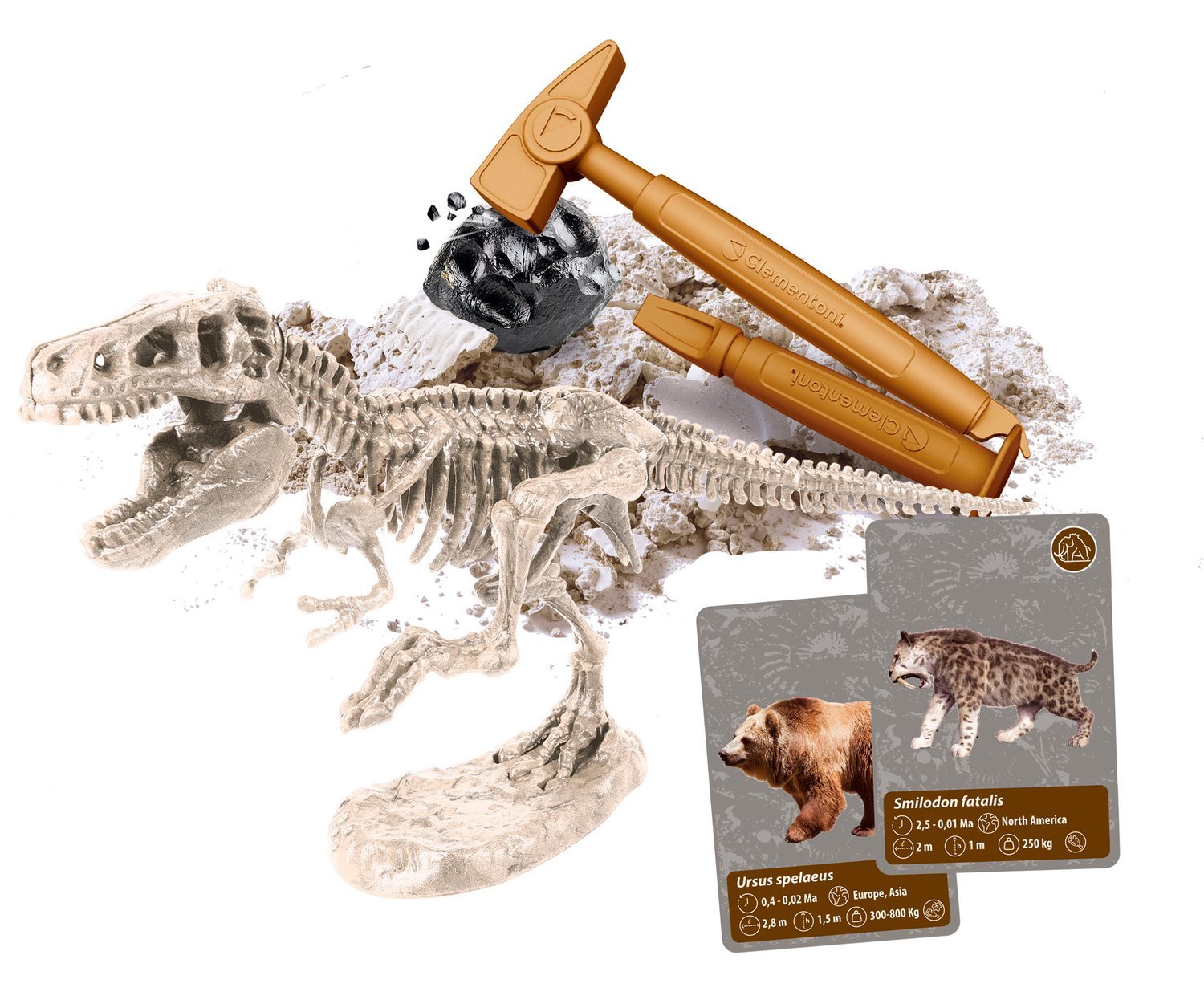 History Of Life On Earth Science Kit