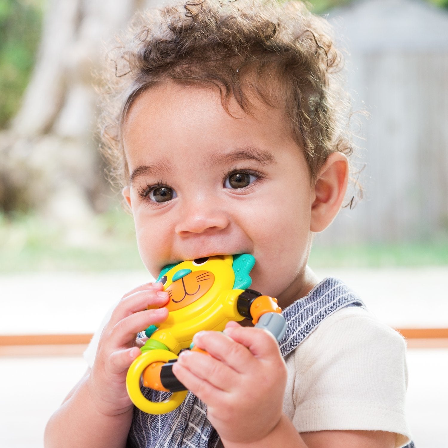 Infantino Rattle & Teether Lion