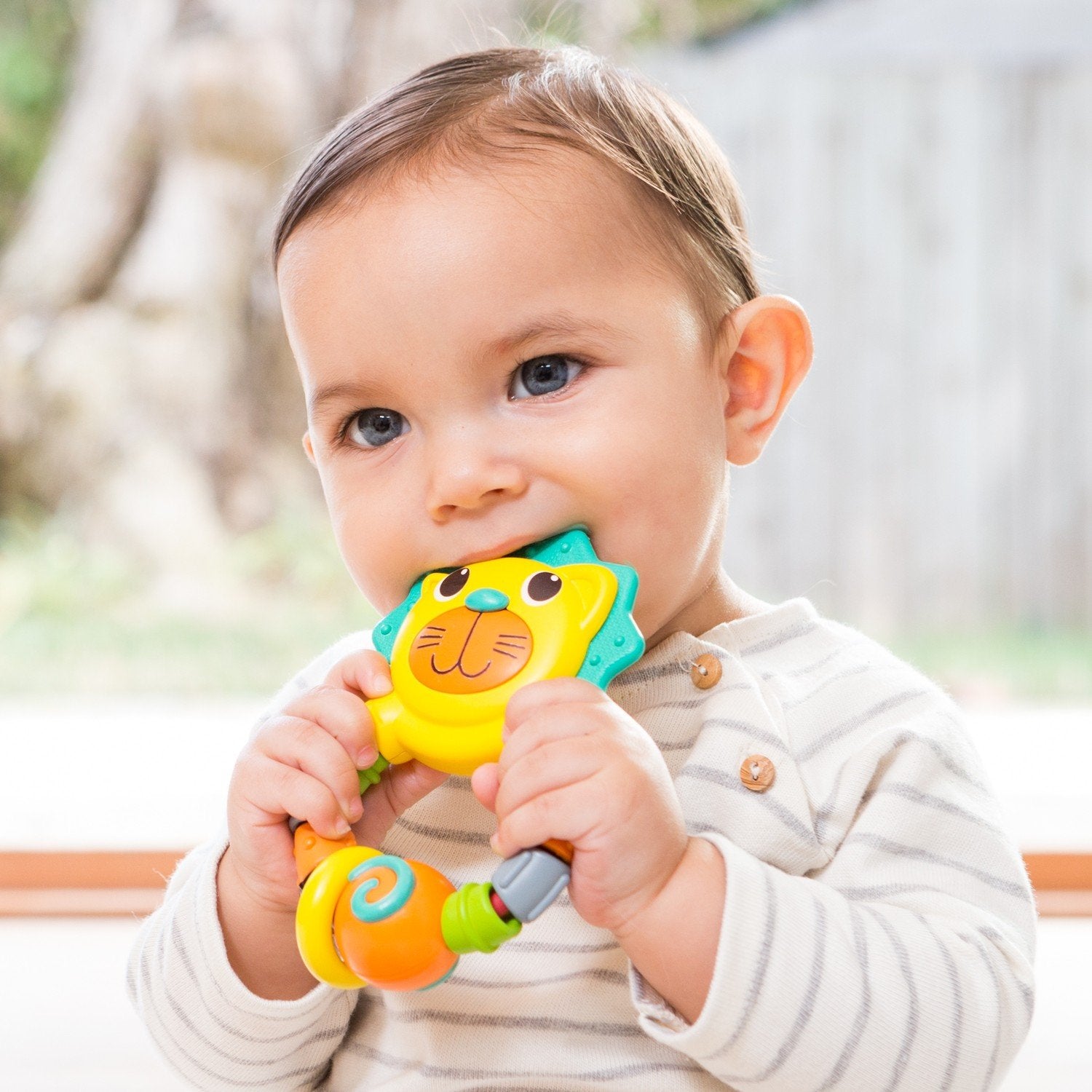 Infantino Rattle &amp; Teether Lion