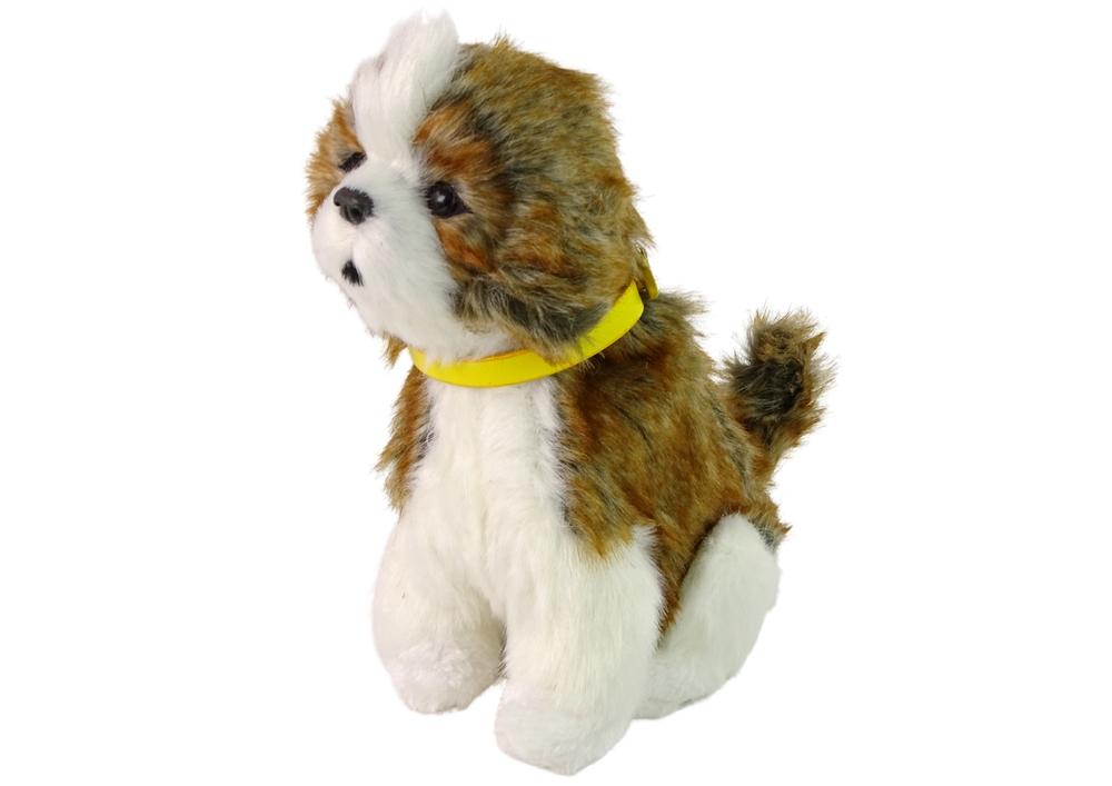 Interactive Shih Tzu Plush: myk pels, bjeffing, hode- og halebevegelse!