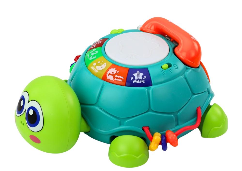 Interactive Turtle Phone: Lys, lyder og læring