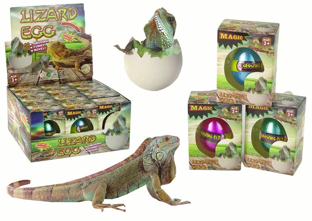 Magic Lizard Egg: Se det klekkes og vokse i vann!