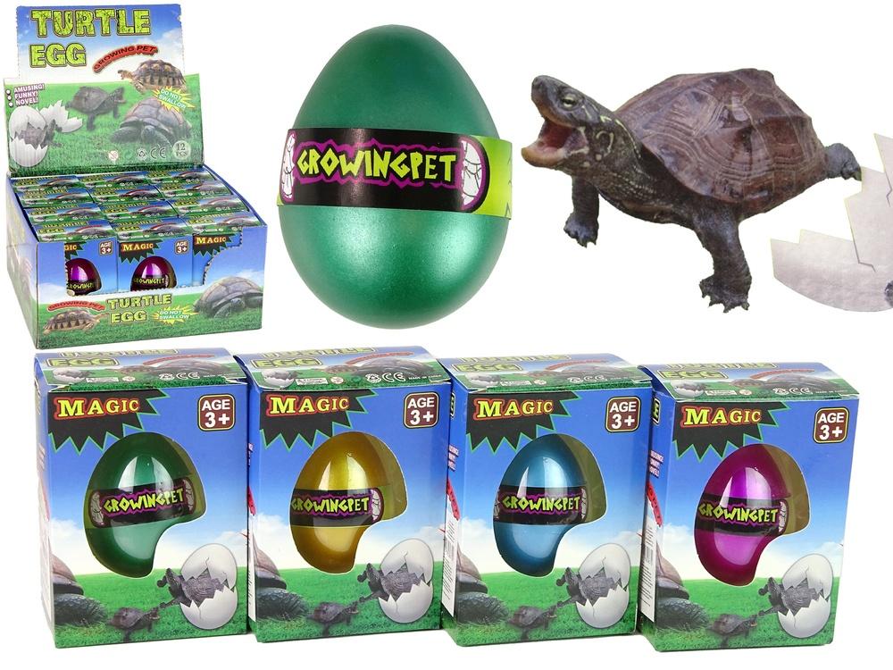 Magic Turtle Egg: Watch & Learn Hatching Fun for Kids!