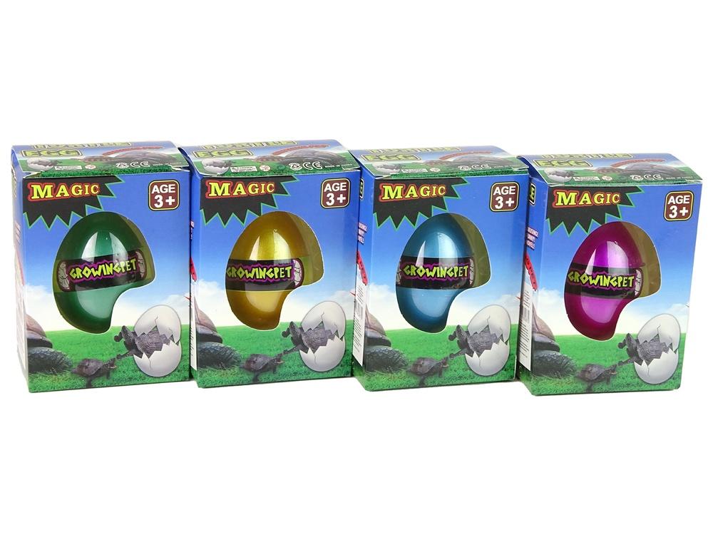 Magic Turtle Egg: Watch & Learn Hatching Fun for Kids!