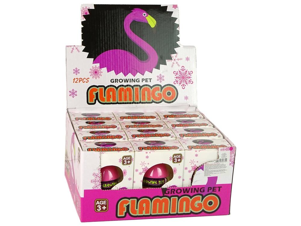 Pink Flamingo Egg: Se hur det kläcks och växer!