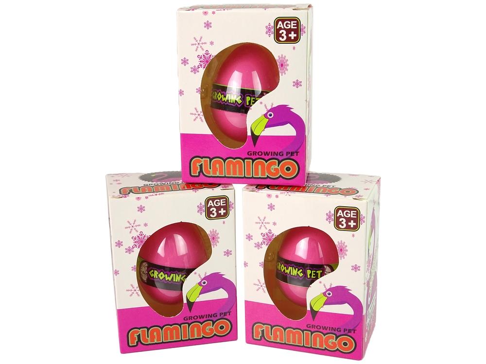 Pink Flamingo Egg: Se hur det kläcks och växer!