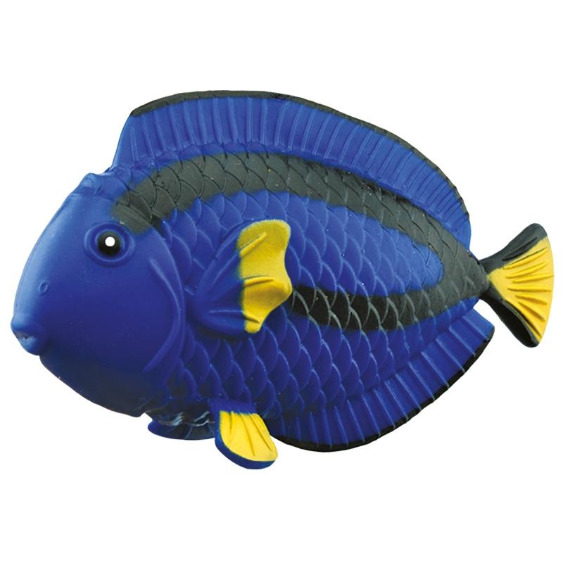 Rep Pals, Blue Tang