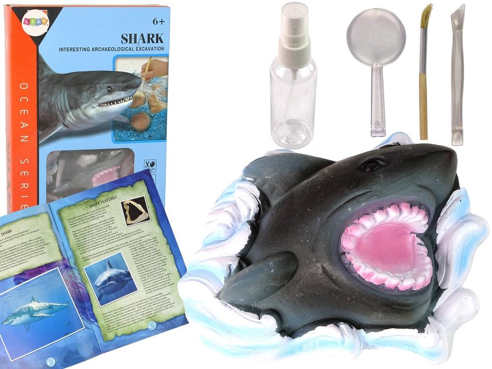 Shark Fossil Dig Kit: Utforska ammonithemligheter och lär dig hajar