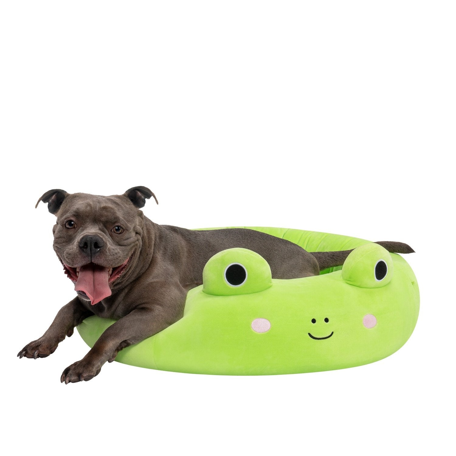 Squishmallows Pet Bed Wendy The Frog, 75 Cm