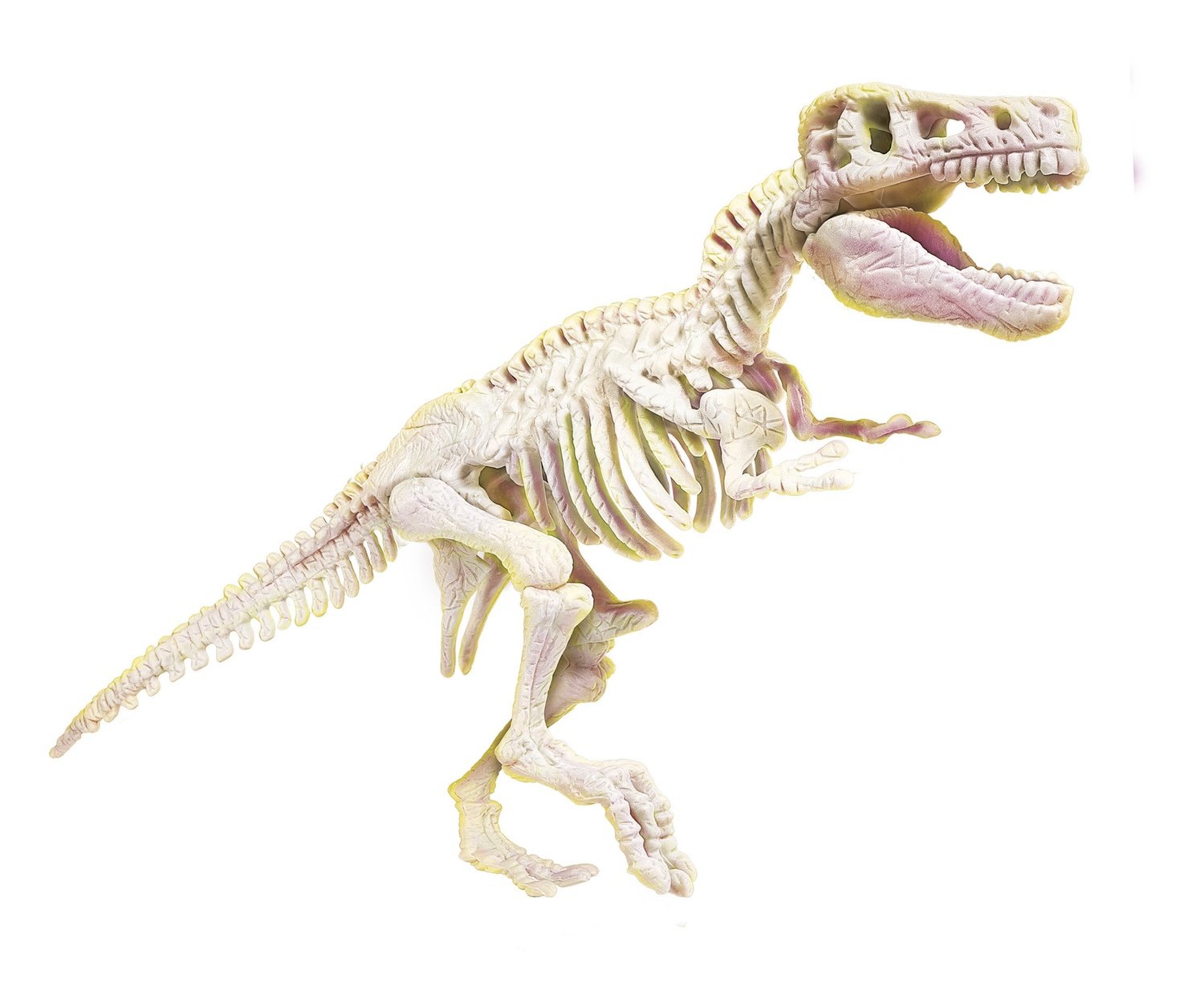 Tyrannosaurus Rex